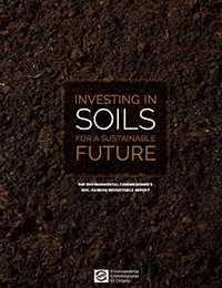 2013: Investing in Soils for a Sustainable Future