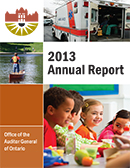 2013 Annual Report