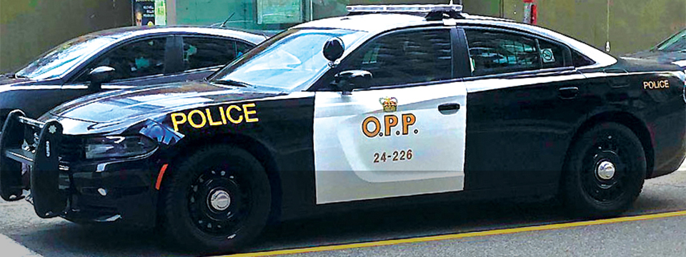 Fifth slide: Value-for-Money Audit: Ontario Provincial Police