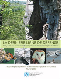 Rapport spécial 2009 : La dernière ligne de défense