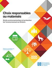 Rapport sur la protection de l’environnement de 2017