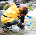 Reporting on Ontario’s Environment